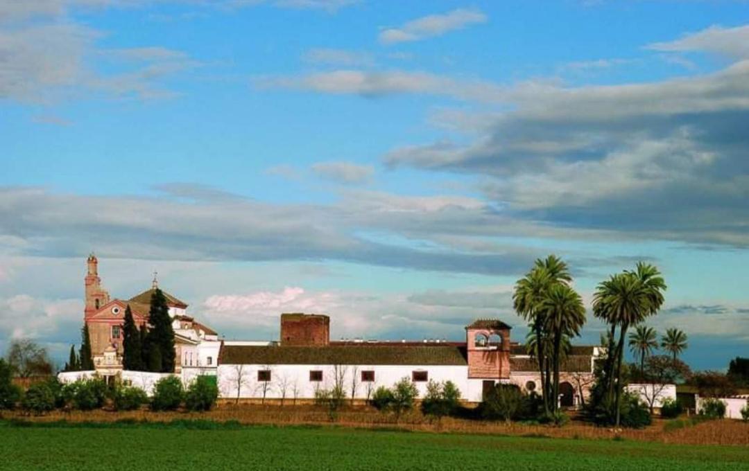 Apartamento Turistico Damajuana Parking Free Espartinas Esterno foto