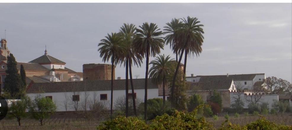 Apartamento Turistico Damajuana Parking Free Espartinas Esterno foto